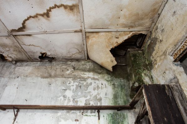 Cost of Water Damage Service in Norwalk