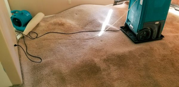 Carpet Water Extraction in Norwalk