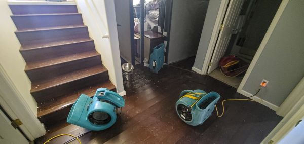Cost of Water Damage Remediation in Norwalk